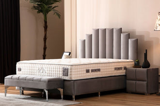 Lit Coffre Polo gris